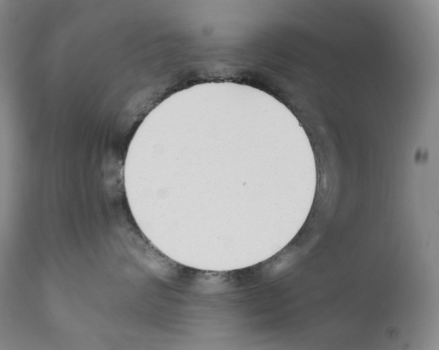X0000110730624200907101430