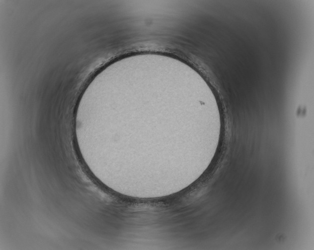 X0000110730625200907101429