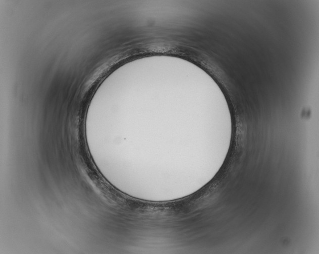 X0000110730626200907101429