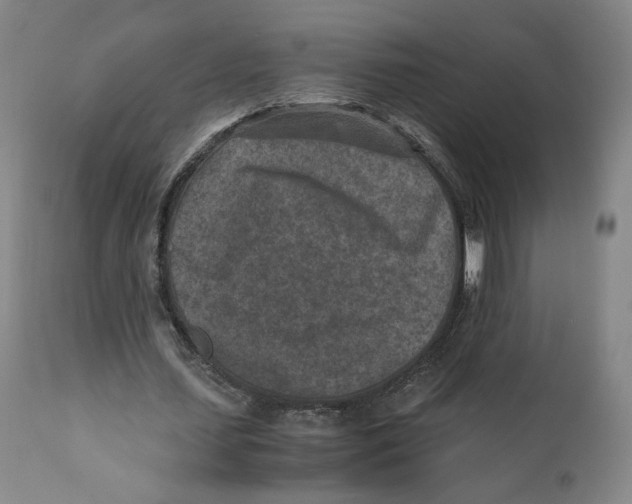X0000110730627200907101429