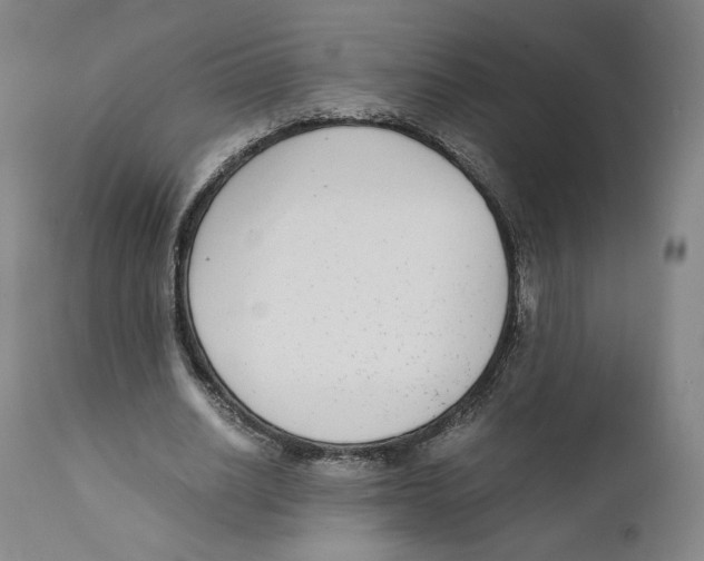 X0000110730630200907101429