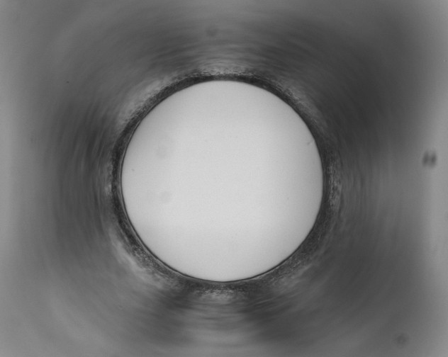 X0000110730631200907101429