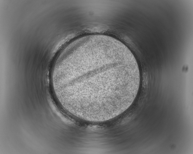 X0000110730634200907101429