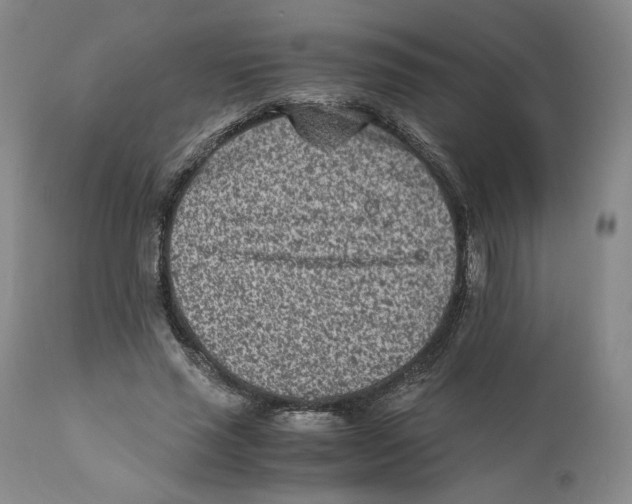 X0000110730637200907101429