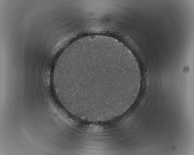 X0000110730640200907101429