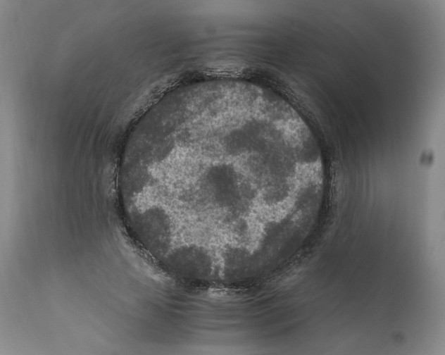 X0000110730641200907101429