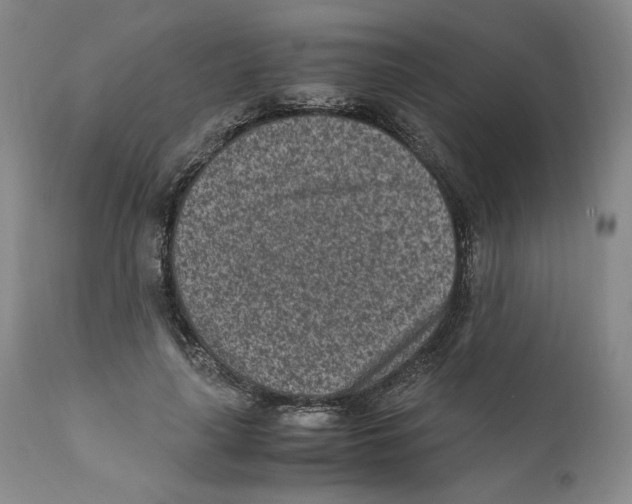 X0000110730643200907101429
