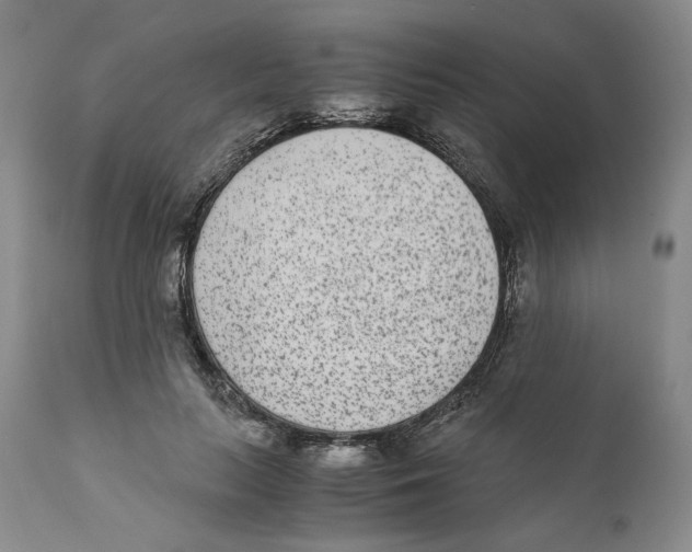 X0000110730647200907101430