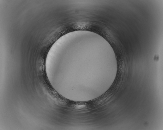 X0000110730651200907101430