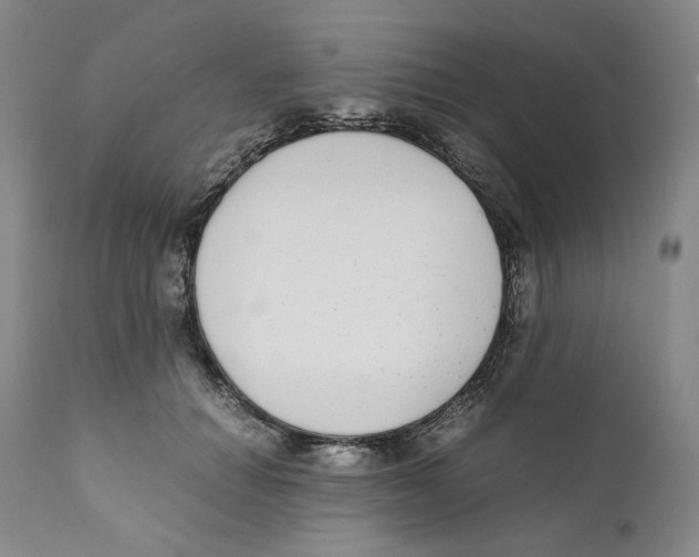 X0000110730654200907101430
