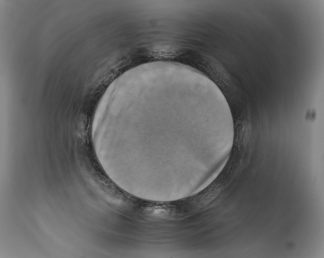 X0000110730655200907101430