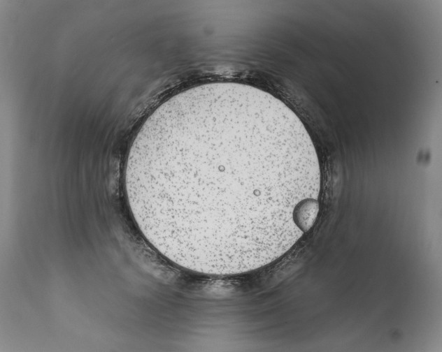X0000110730656200907101430