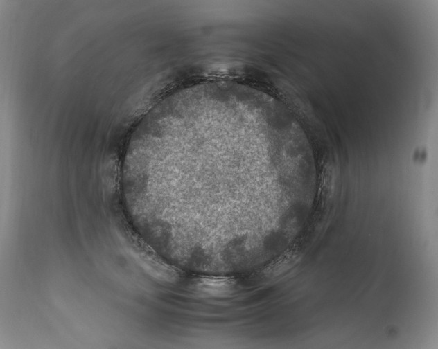 X0000110730659200907101430