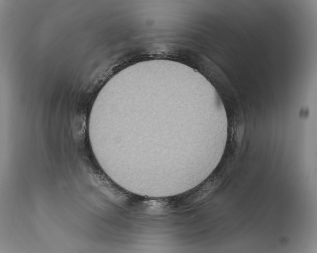 X0000110730660200907101430
