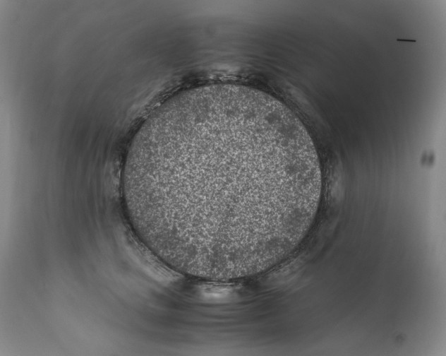 X0000110730661200907101430