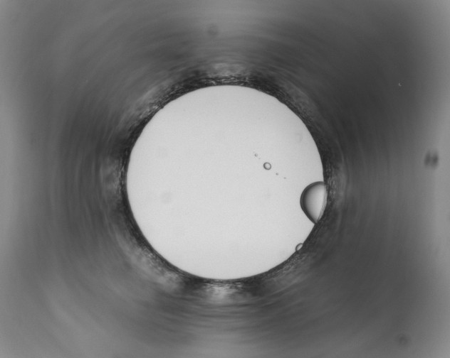 X0000110730662200907101430