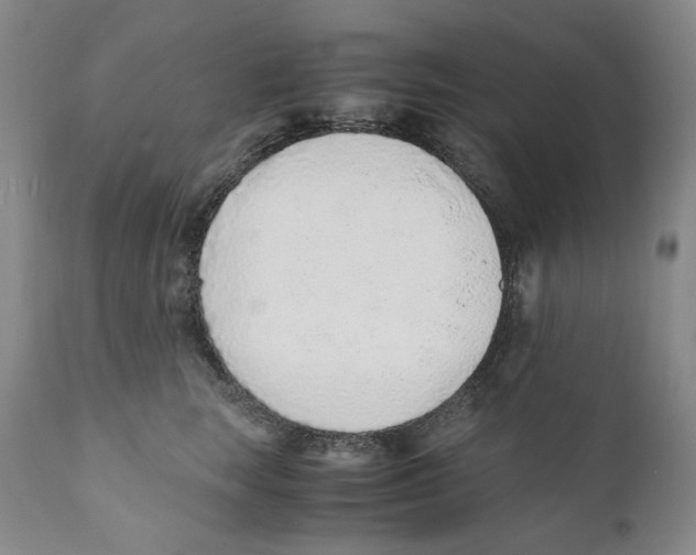 X0000110730663200907101430