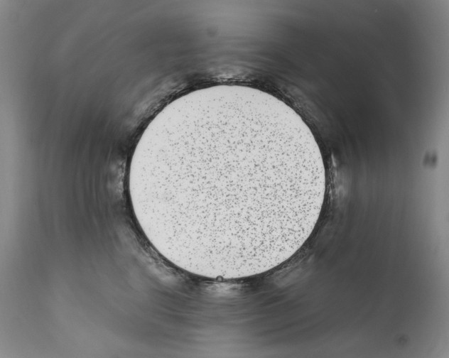 X0000110730664200907101430