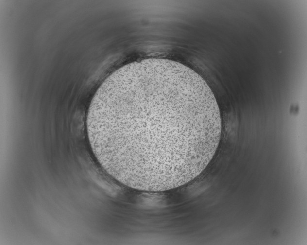 X0000110730667200907101430