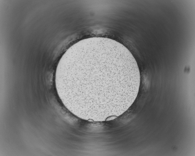 X0000110730668200907101430
