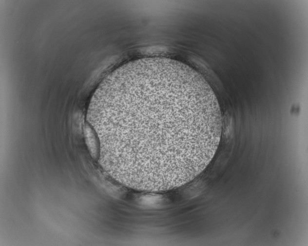 X0000110730669200907101430