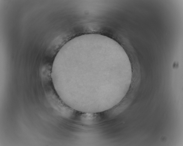 X0000110730672200907101430