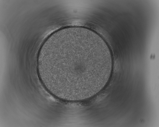 X0000110730673200907101429