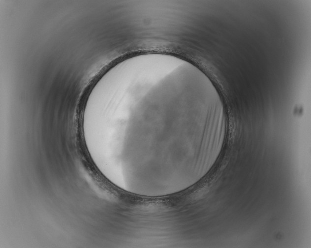 X0000110730674200907101429