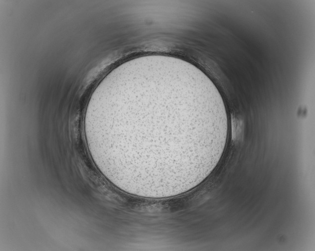 X0000110730675200907101429