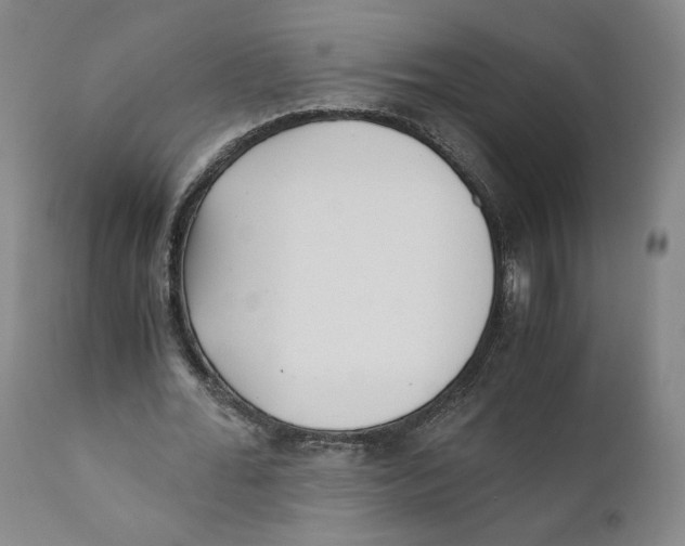 X0000110730676200907101429