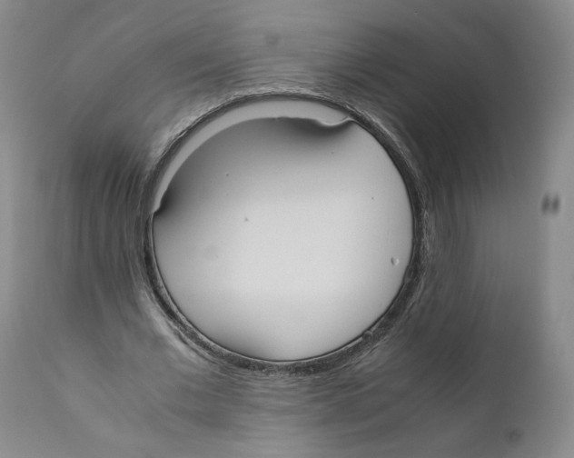 X0000110730677200907101429