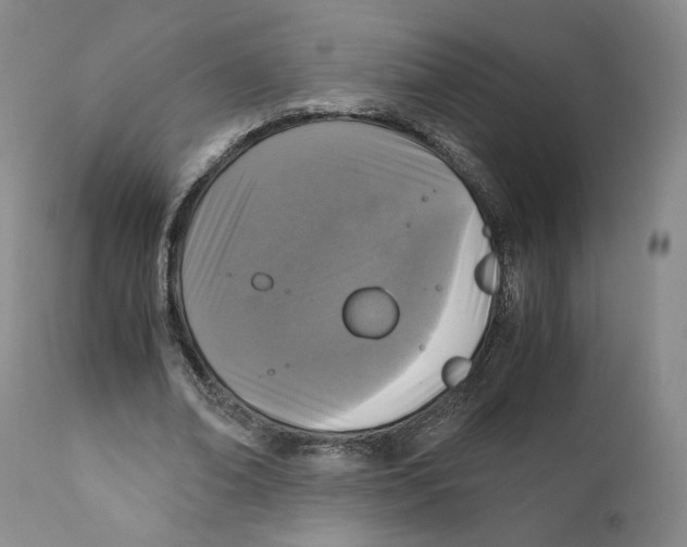 X0000110730678200907101429