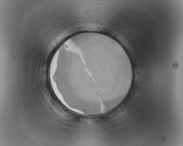 X0000110730679200907101429