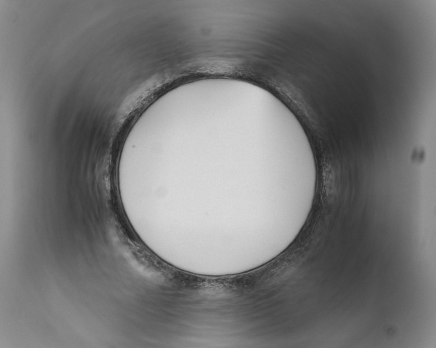 X0000110730682200907101429