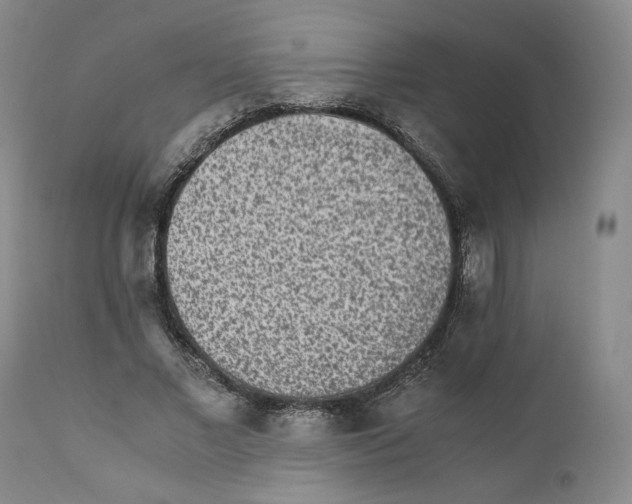 X0000110730685200907101429