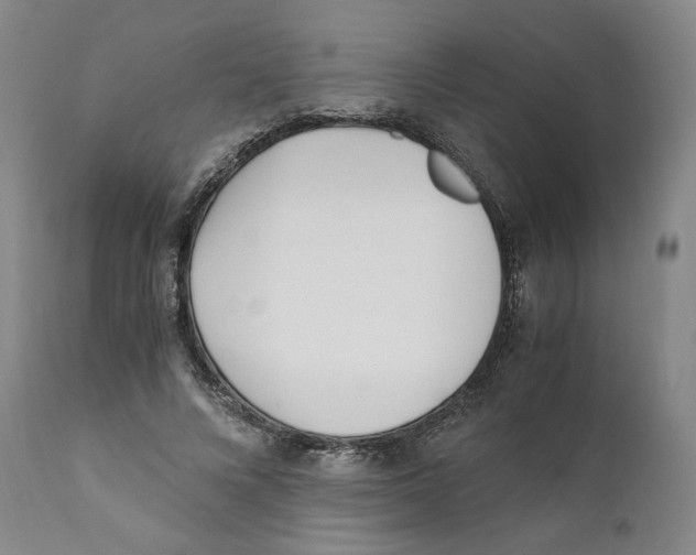 X0000110730688200907101429