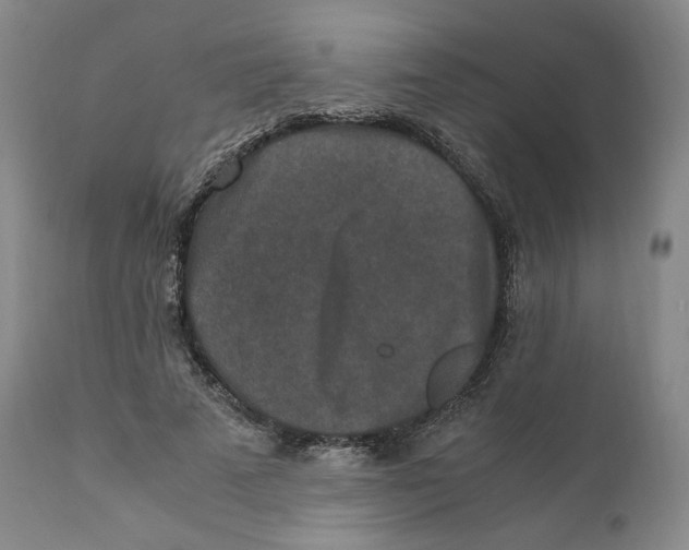 X0000110730689200907101429