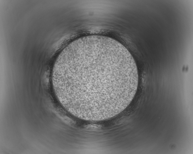 X0000110730691200907101429