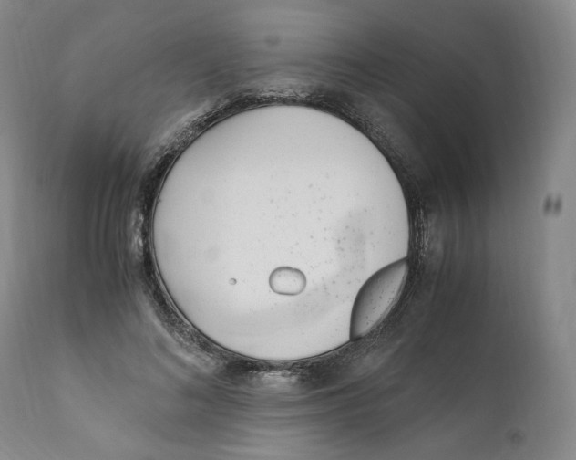 X0000110730692200907101429