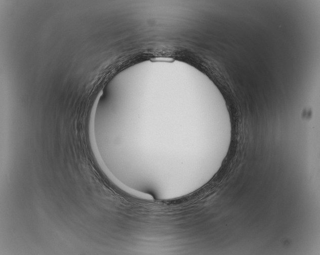 X0000110730697200907101429