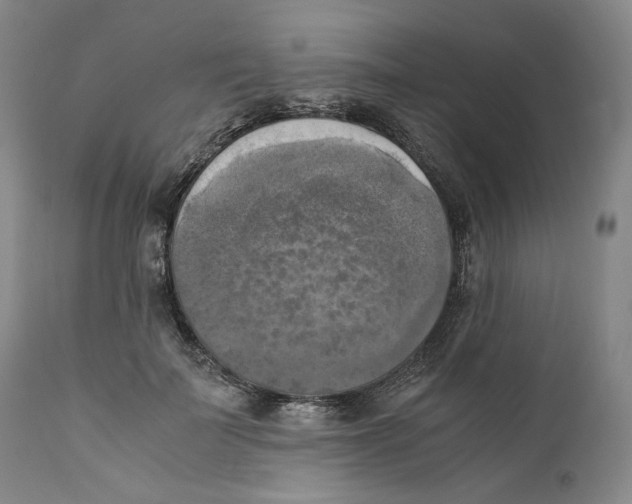 X0000110730699200907101429