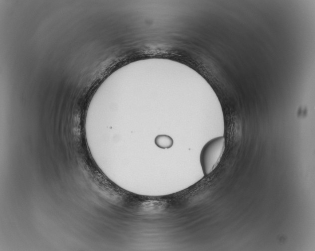 X0000110730700200907101429