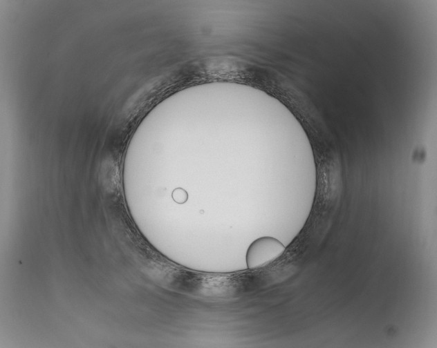 X0000110730705200907101429