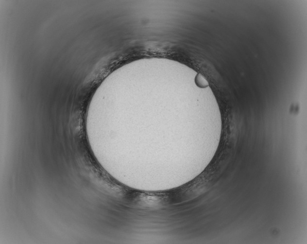 X0000110730706200907101429