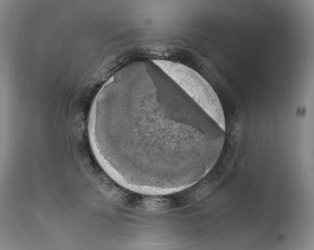 X0000110730707200907101429