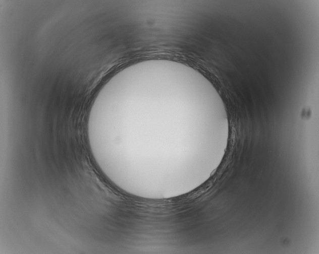 X0000110730708200907101429
