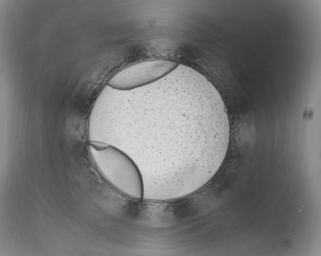 X0000110730709200907101429
