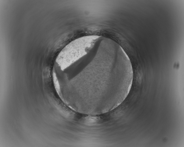 X0000110730711200907101429