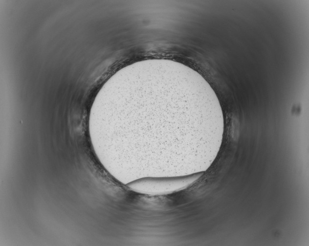 X0000110730712200907101429