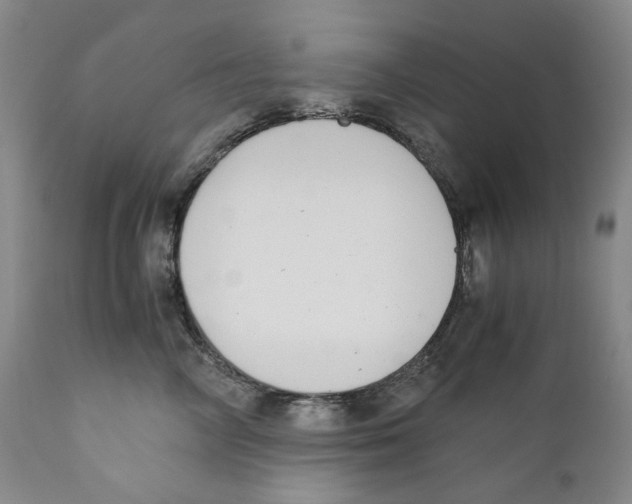 X0000110730714200907101429